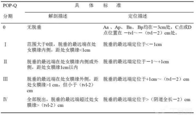 popq评分图片