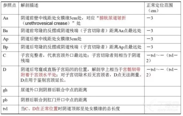 子宫脱垂分度图片