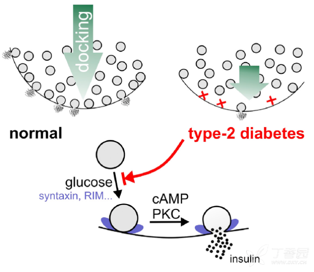 3284471176172646856-8w.bmp!w640