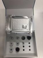 硫氧还蛋白还原酶(TrxR)ELISA试剂盒