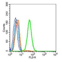 Lipoprotein lipase antibody