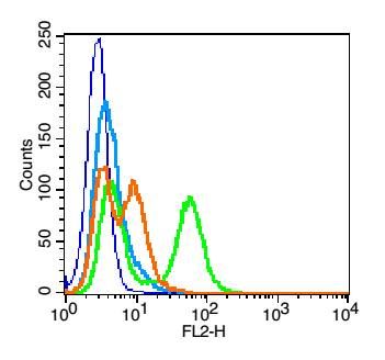 Integrin beta 1整合素β1/Integrin β1抗体