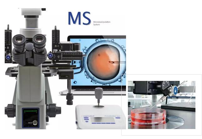 赛默飞代理IM-5系列 | OPTIKA 研究型倒置显微镜