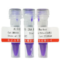 北京现货大肠杆菌DNA聚合酶Ⅰ销售