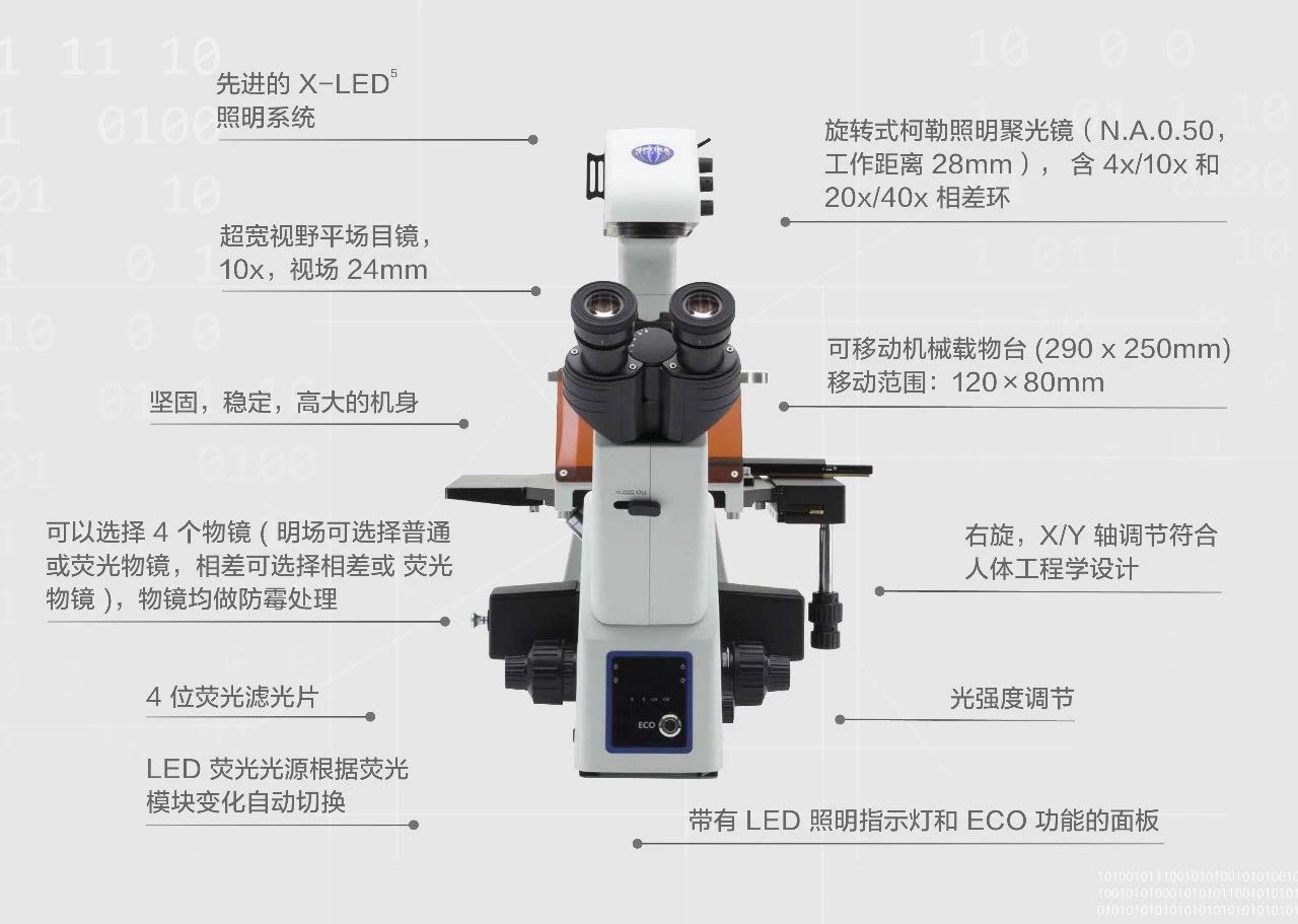 赛默飞代理IM-5系列 | OPTIKA 研究型倒置显微镜