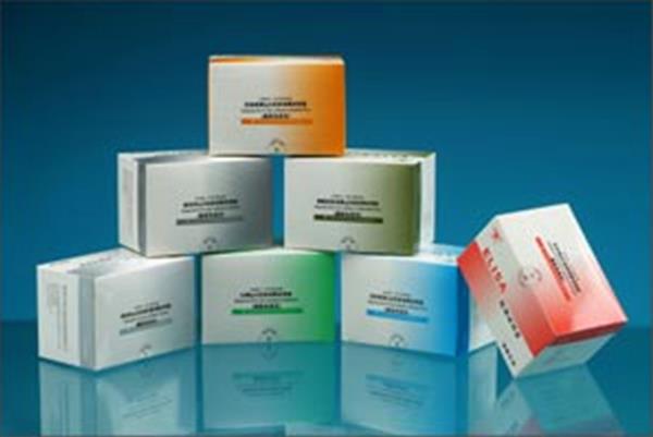 α-glucosidase  ELISA检测试剂盒，小鼠ELISA检测试剂盒