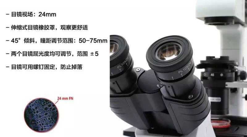 赛默飞代理IM-5系列 | OPTIKA 研究型倒置显微镜