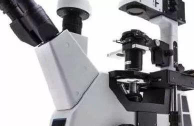 赛默飞代理IM-5系列 | OPTIKA 研究型倒置显微镜