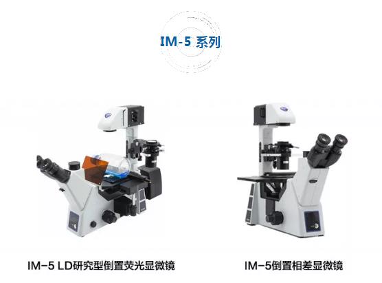 赛默飞代理IM-5系列 | OPTIKA 研究型倒置显微镜