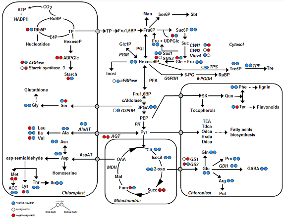 涨姿势—如何处理代谢组学数据