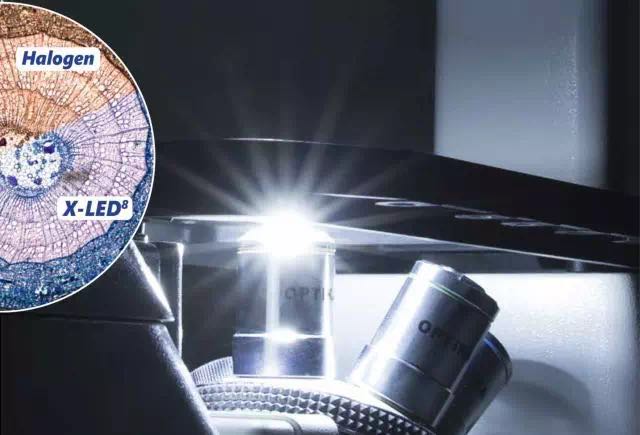 赛默飞代理IM-5系列 | OPTIKA 研究型倒置显微镜