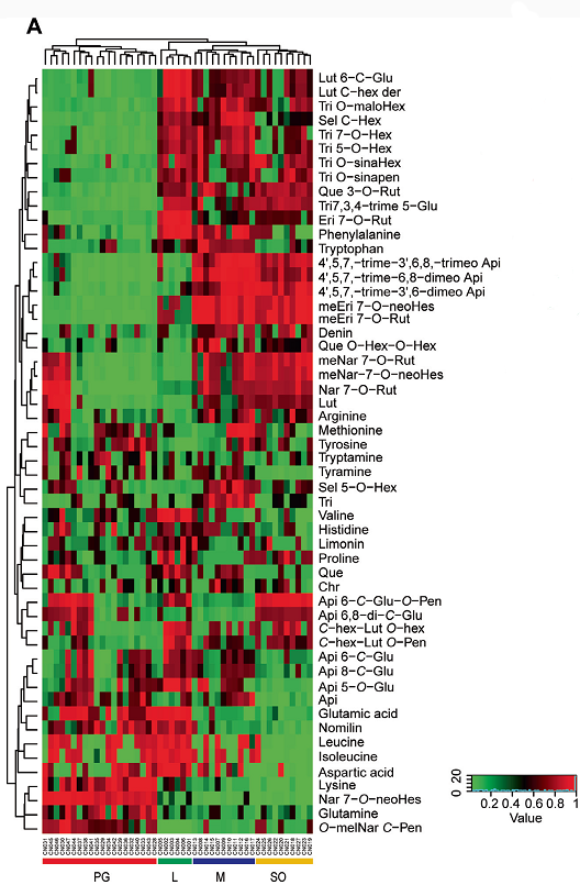 涨姿势—如何处理代谢组学数据