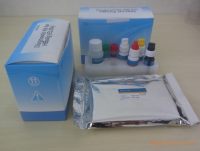 Leptospira  ELISA检测试剂盒，豚鼠ELISA检测试剂盒