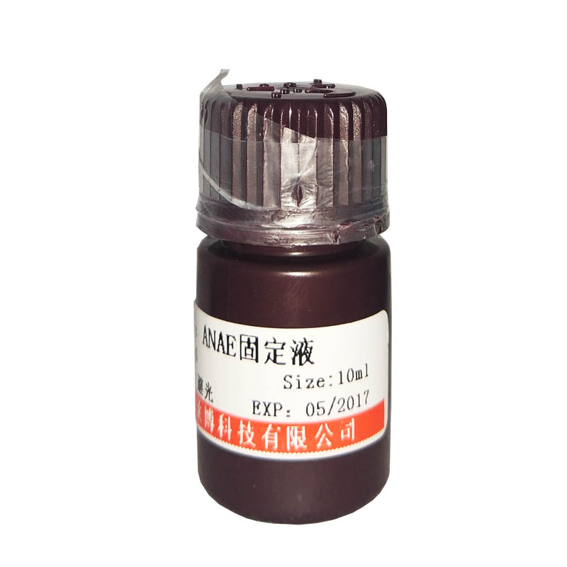 QN0395型胰酶品牌