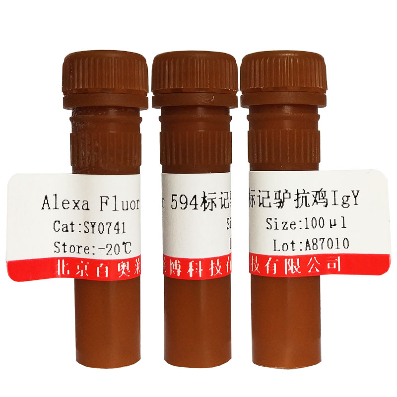 北京CYB161062型鸡血清蛋白(冻干粉)价格