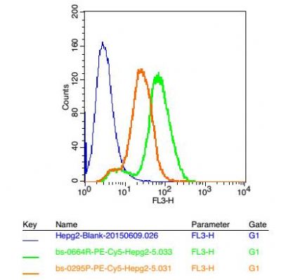 HMGB1高迁移率族蛋白B1抗体