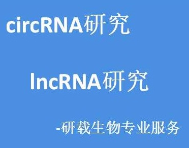 lncRNA研究（长链非编码RNA）