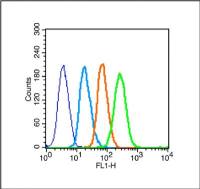 APOA1载脂蛋白A1抗体