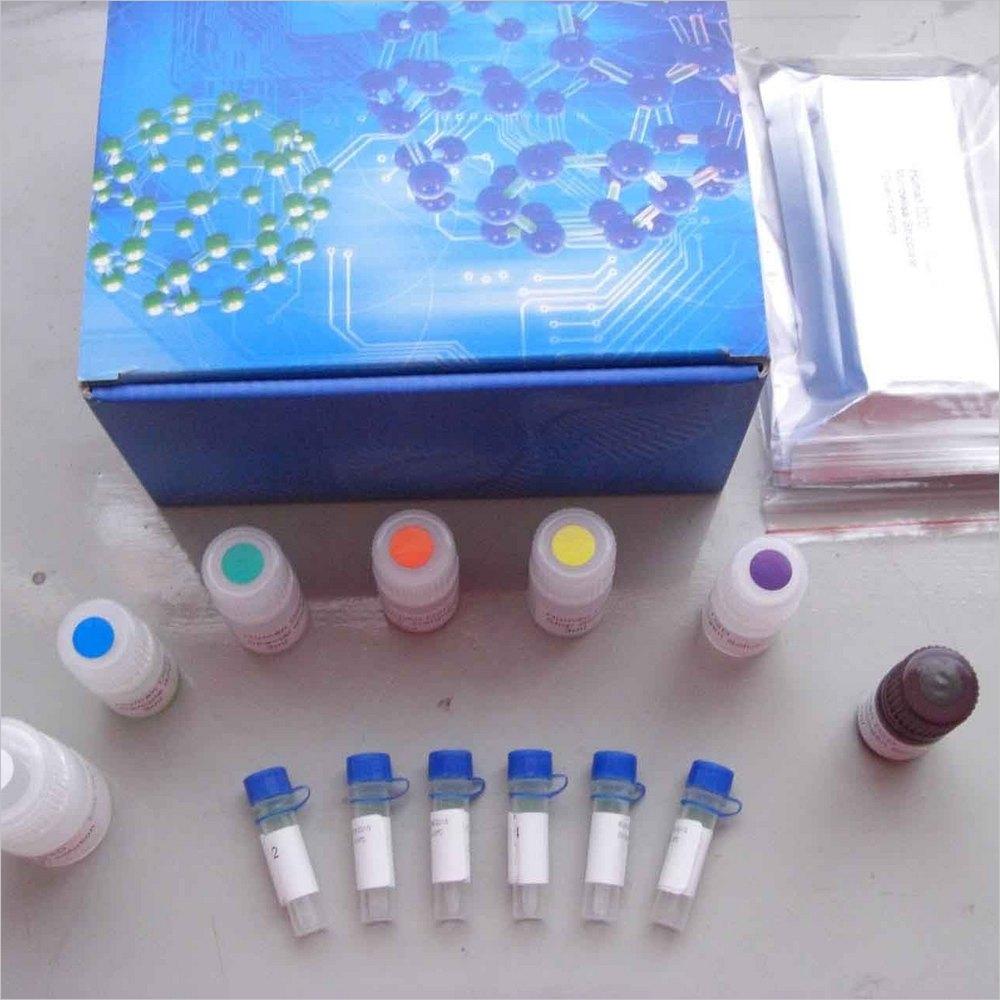 人MBP antibody检测试剂盒使用说明书