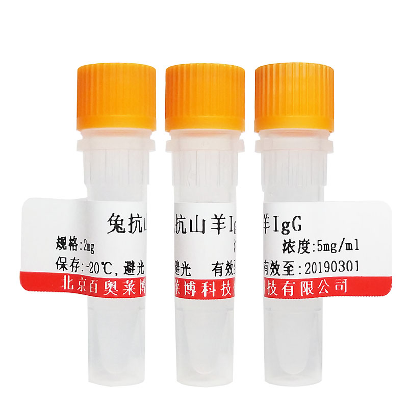 北京现货罗丹明Red-X标记山羊抗小鼠IgG(H+L)供应