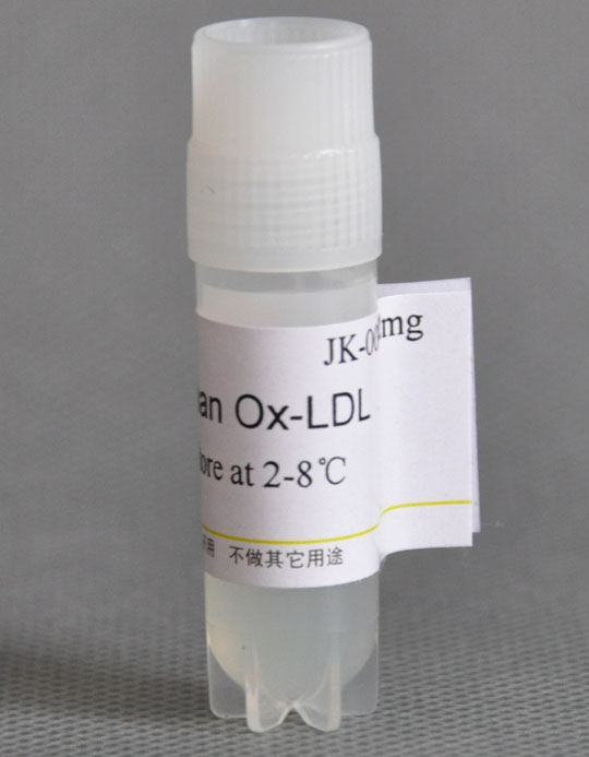 人氧化型低密度脂蛋白(Ox-LDL)