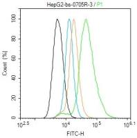 LDL receptor低密度脂蛋白受体抗体