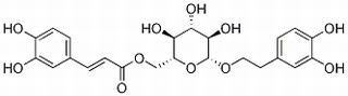 木通苯乙醇苷B HPLC≥98%