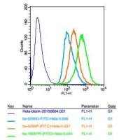 COX4细胞色素c氧化酶IV亚型1抗体