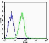 CYP11A1细胞色素P450 11A1抗体