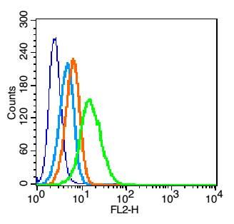 CD162 antibody