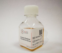 去外泌体胎牛血清