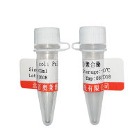 北京现货重组人脂肪酸结合蛋白4(FABP4)库存