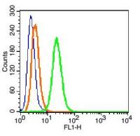 Cytokeratin 5细胞角蛋白5抗体
