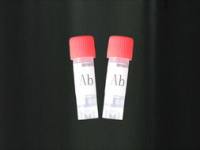 IL10RA rabbit polyclonal antibody价格