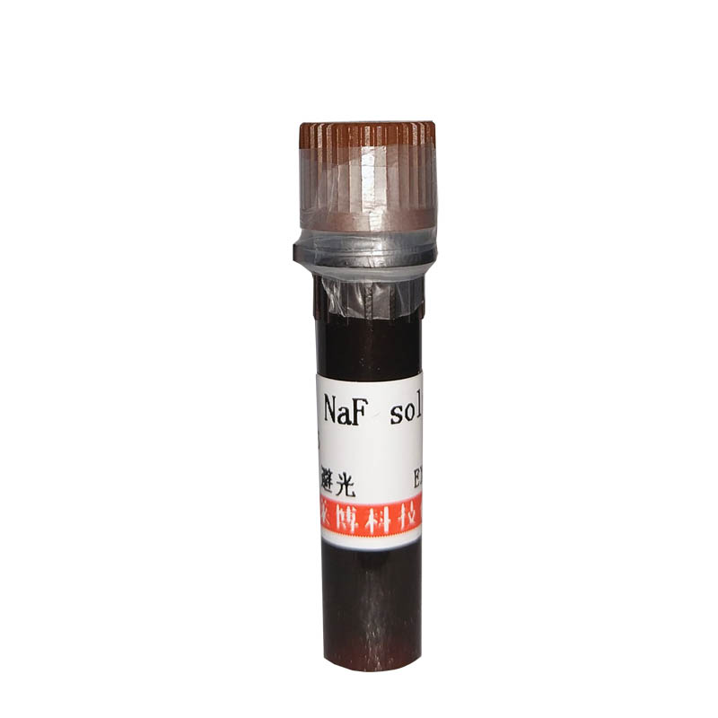 Arp2/3复合物抑制剂(CK-636) 抑制剂激活剂