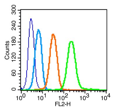 Phospho-c-Kit(Tyr703) antibody