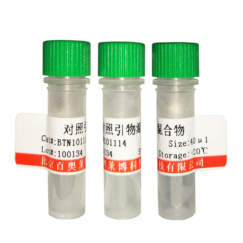 p38MAPK抑制剂(LY2228820) 抑制剂激活剂