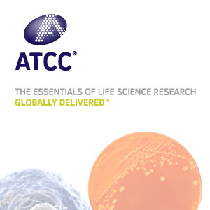 ATCC细胞,BNL-3-25