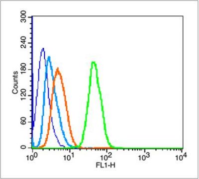 GPR49 G蛋白偶联受体49抗体