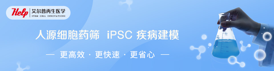艾尔普－塑造药物研发的未来