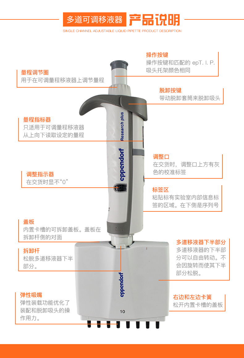 Eppendorf Research plus 10-100