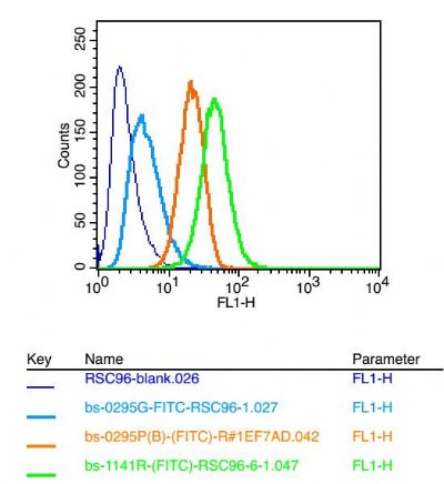 STAT3信号转导和转录激活因子3抗体