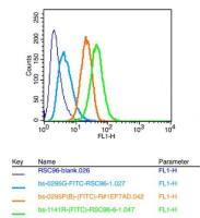 STAT3信号转导和转录激活因子3抗体