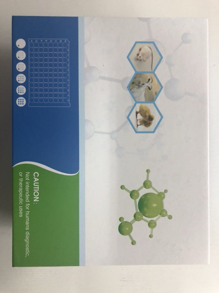 人细胞色素P450(CYP450)ELISA试剂盒