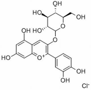 矢车菊素-3-O-葡萄糖苷HPLC≥95%