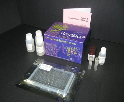 小鼠LXA4 elisa检测试剂盒