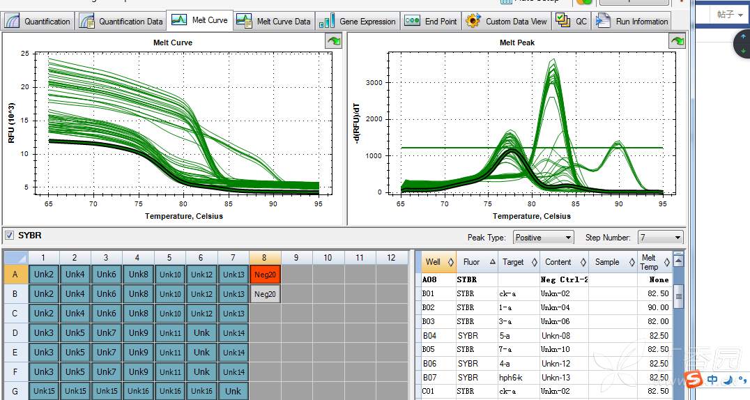定量pcr溶解曲线乱