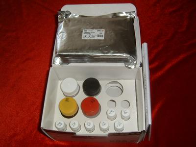 小鼠eNOS-3 elisa检测试剂盒