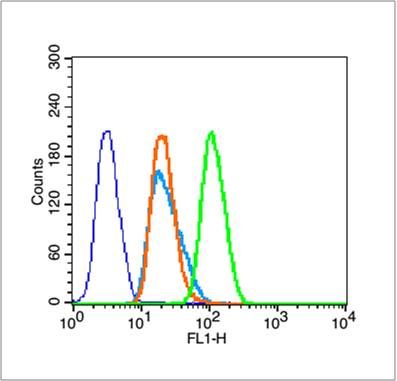Histone H3 (Di Methyl K36) antibody