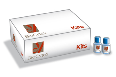 人可溶性CD146 ELISA试剂盒（Human Scd146 ELISA Kit）